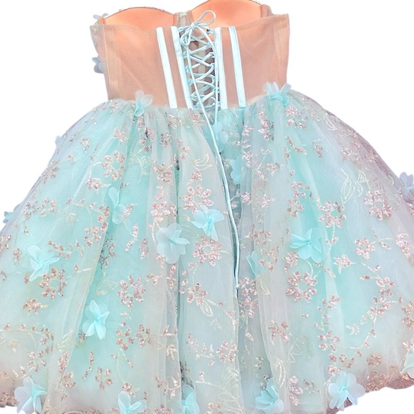 Corset Style Lace Up Back Pageant Prom Formal Quinceañera Dress Size Small - Picture 2 of 14